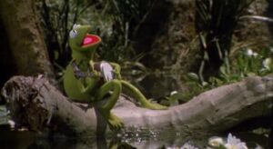 The Muppets Movie-kermit-on-a-log